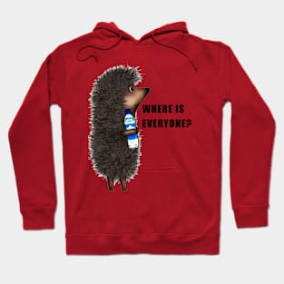 Hedgehog Hoodie